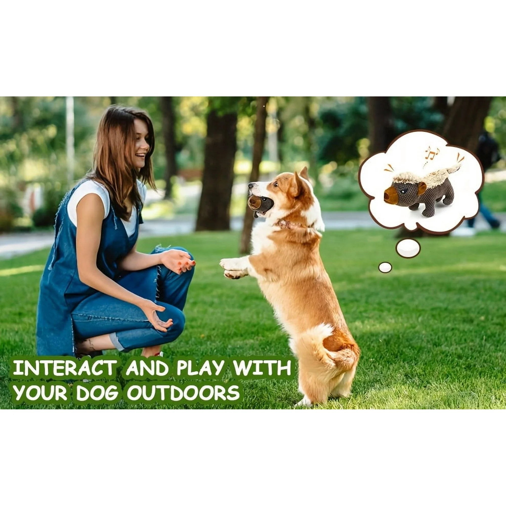 Squeaky Badger Dog Toy - Tough Plush Chew Toys with Animal Sounds, Long-Lasting Durable Stuffed Animal for Aggressive Chewers, Puppy Enrichment