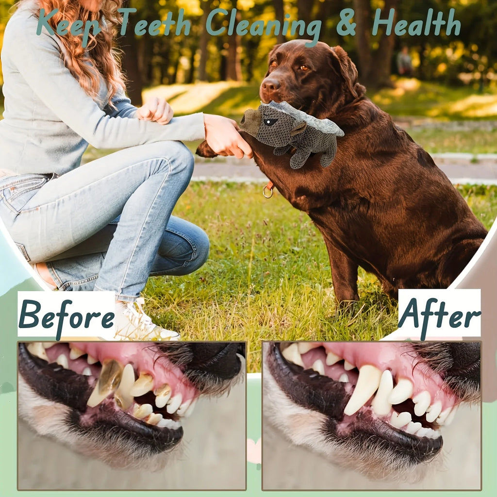 Squeaky Badger Dog Toy - Tough Plush Chew Toys with Animal Sounds, Long-Lasting Durable Stuffed Animal for Aggressive Chewers, Puppy Enrichment